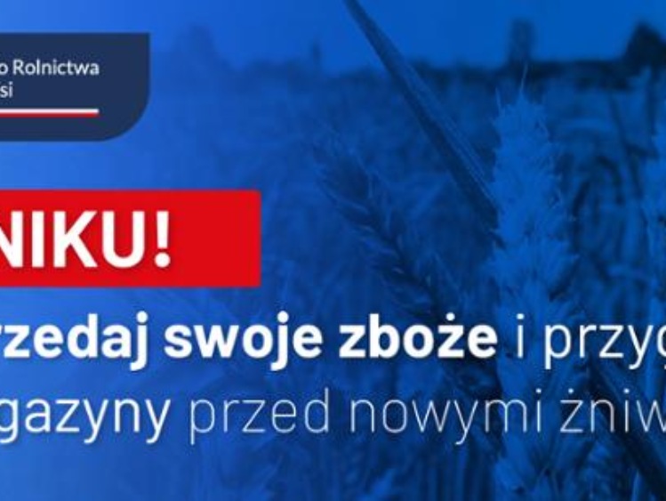 Rolniku! Sprzedaj swoje zboże